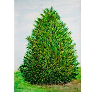 Original Unframed Watercolor Painting of Living Tree Kentucky Eastern Red Cedar